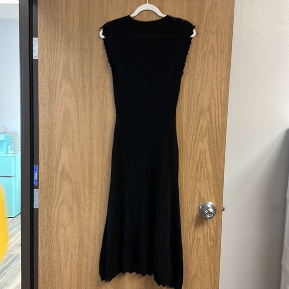 Milo Wavy Lace Sheer Maxi Dress - Picture 8 of 8